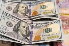 SNB: ABD doları mutlak hakimiyetini koruyor