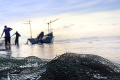 Su ürünlerinde tarihi eşik aşıldı: Üretim 1 milyon tonun üzerine çıktı