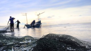 Su ürünlerinde tarihi eşik aşıldı: Üretim 1 milyon tonun üzerine çıktı