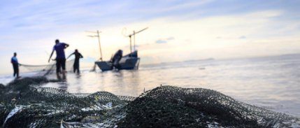 Su ürünlerinde tarihi eşik aşıldı: Üretim 1 milyon tonun üzerine çıktı