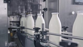 Süt sektöründeki 39 şirkete Rekabet soruşturması açıldı
