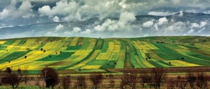 Tarım arazileri için hisseli satış uyarısı