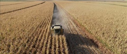 Tarım ÜFE ağustosta aylık bazda yüzde 1,77, yıllık yüzde 24,69 arttı