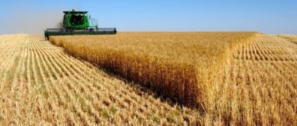 Tarım ÜFE şubatta yıllık yüzde 68,49 arttı