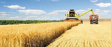 Tarım ÜFE yıllık yüzde 36,39 arttı