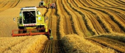 Tarım ürünleri üretici fiyatları Şubat’ta yıllık bazda arttı