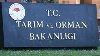 Tarım ve Orman Bakanlığı tescilli tarla ve bahçe bitkileri sayısını açıkladı