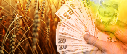 Tarıma Yatırım Suriye’nin Geleceği İçin Hayati Önemde 