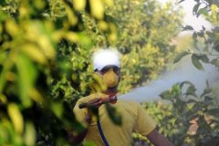 Tarımda yeni dönem: 5 soruda 