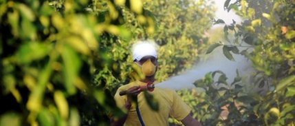 Tarımda yeni dönem: 5 soruda 