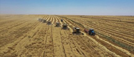 Tarımsal destek ödemeleri çiftçilerin hesabına yatırılıyor