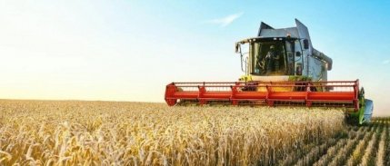 Tarımsal girdi enflasyonu yıllık bazda yüzde 134,76 yükseldi