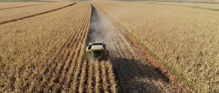 Tarımsal girdi fiyatları aralıkta %2,62 arttı