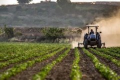 Tarımsal girdi fiyatları ekimde aylık yüzde 2,04 arttı