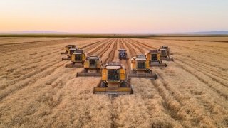 Tarımsal üretimde Hazine destekli finansmana ilişkin üst limitler düzenlendi