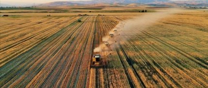 Tarsim'de hasar fazlası destek prim oranları belli oldu