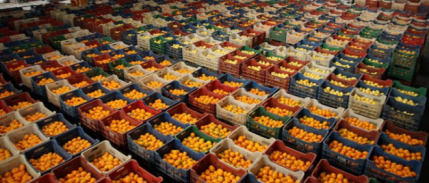 TGDF Başkanı Kopuz: Gıda Savunması Sektör İhracatı İçin Önemli