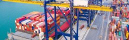 TGDF'den ihracatçıya destek çağrısı