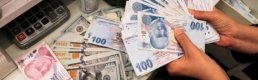TL mevduatın toplam mevduat içindeki payı son 6,5 ayın zirvesinde
