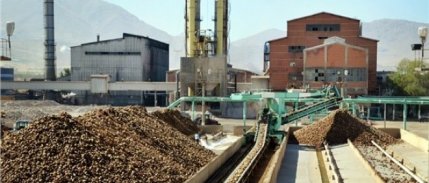 Tmmob: 'Şeker Fabrikalarımız Zarar Değil, Kar Ediyor'