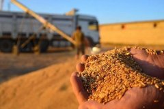 TMO'dan spekülatif fiyatlara karşı yeni hamle: İlave yem stokları satışa sunuldu