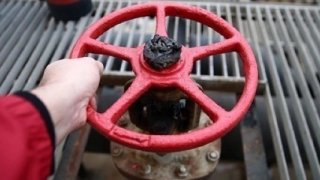 TPAO, Pakistan'daki petrol sahasından pay aldı