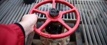 TPAO, Pakistan'daki petrol sahasından pay aldı