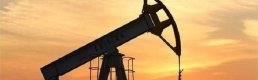 Trump’ın üretim çağrısıyla petrol fiyatları düştü