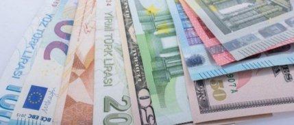 TÜFE bazlı reel efektif döviz kuru endeksi 75.61'e düştü