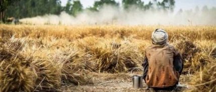 TÜİK açıkladı: Tarım işçilerinin günlük ücreti son bir yılda nasıl değişti?