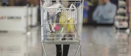 TÜİK, enflasyon sepetini güncelledi: İşte enflasyon hesaplamasına dahil edilen yeni ürünler