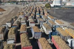 Türk domatesinin ihracatında şampiyon Romanya oldu