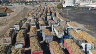 Türk domatesinin ihracatında şampiyon Romanya oldu