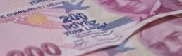 Türk Lirası'nın reel değeri ağustosta %7,8 arttı