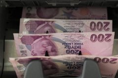 Türk lirasının reel değerinde sınırlı düşüş