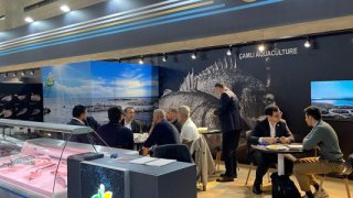 Türkiye 93 ülkeye 2,2 milyar dolarlık balık sattı