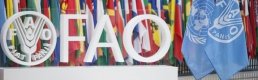 Türkiye, BM'nin FAO konsey üyeliğine seçildi