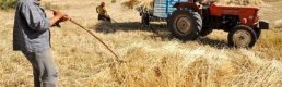 Türkiye’de Üretici Fiyatları Yıllık Enflasyonu %15,47 Oldu
