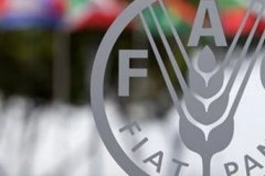 Türkiye'den FAO ile tarım politikalarını güçlendirecek yeni adım