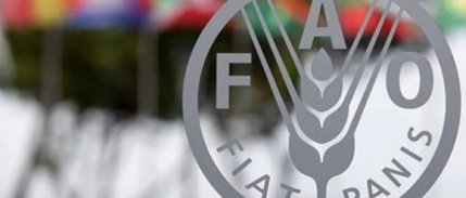 Türkiye'den FAO ile tarım politikalarını güçlendirecek yeni adım