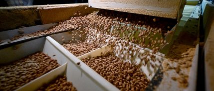 Türkiye 'helal kedi ve köpek maması' ihracatından 150 milyon dolar kazandı