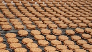 Türkiye'nin 500 büyük şirketinden 111'i gıda sektöründen