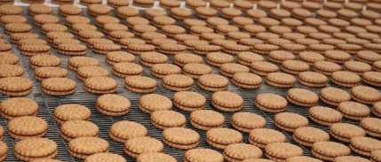 Türkiye'nin 500 büyük şirketinden 111'i gıda sektöründen