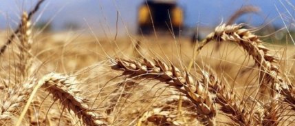 TÜİK açıkladı: Türkiye'nin tarım üretimi, talebi ne kadar karşılıyor?
