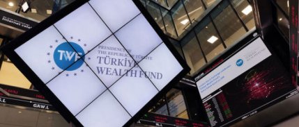 Türkiye Varlık Fonu'ndan altın hamlesi