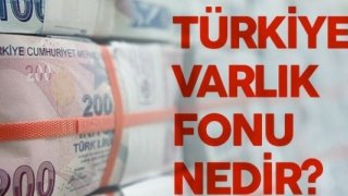 Türkiye Varlık Fonu Nedir?