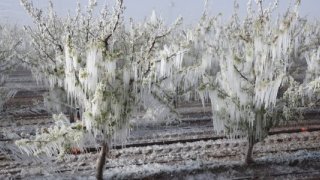 Türkiye yeni yıla zirai don riskiyle giriyor