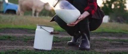 TÜSEDAD çiğ süt maliyetini hesapladı: Yeni fiyat önerisini açıkladı