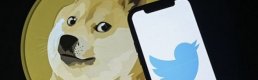 Twitter, logosunu Shiba Inu cinsi köpek ile değiştirdi: Dogecoin'de sert yükseliş yaşandı 