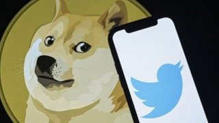 Twitter, logosunu Shiba Inu cinsi köpek ile değiştirdi: Dogecoin'de sert yükseliş yaşandı 